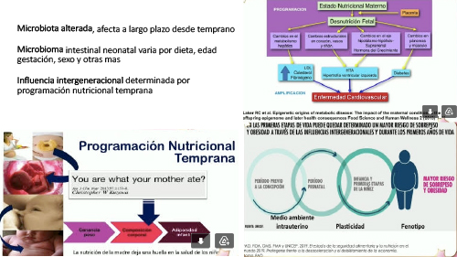 Salud reproductiva y estilo de vida: Influencia del peso y la